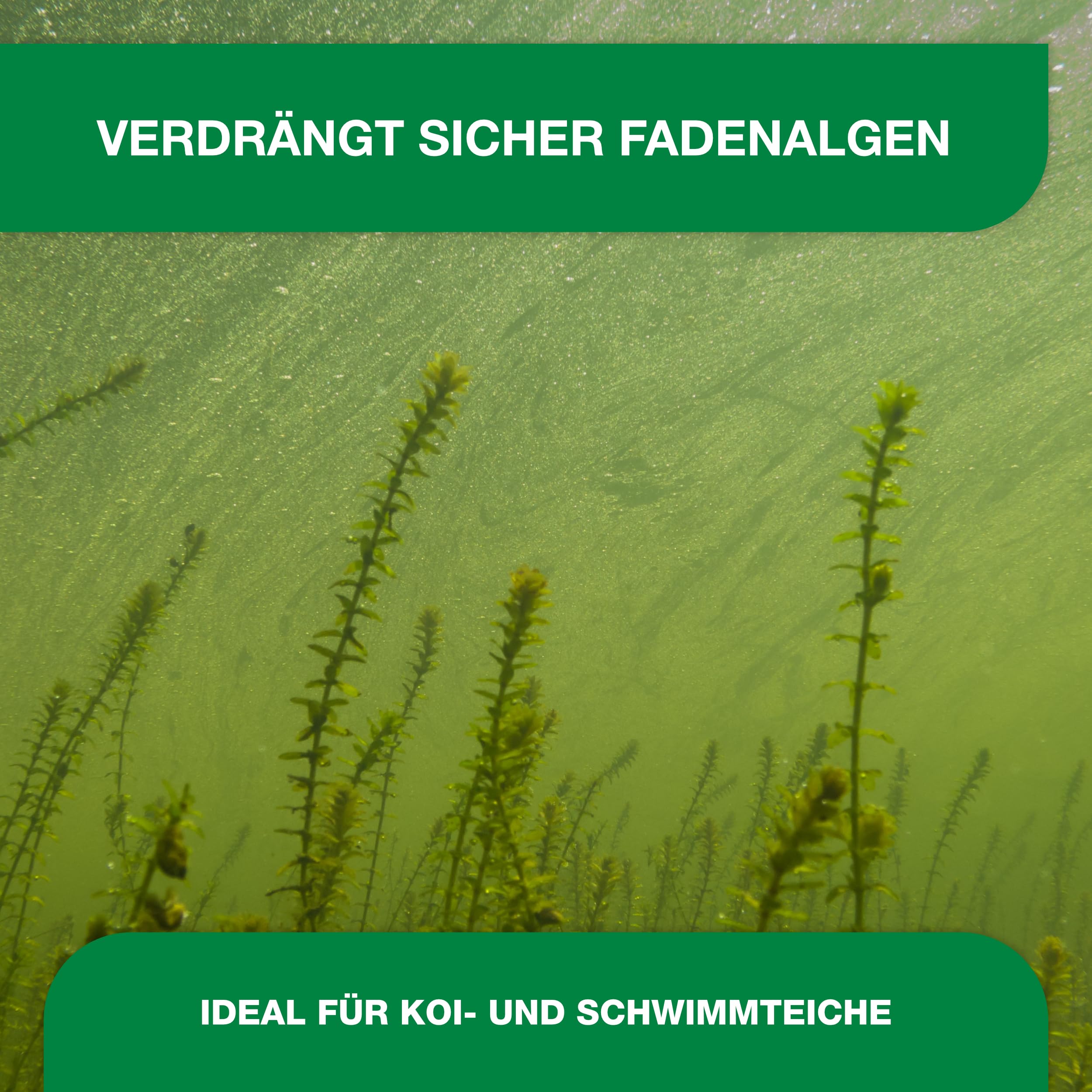 Teichpoint Pond Repair 5kg | Entfernt Fadenalgen auf biologische Weise im Garten- und Koiteich | Algenfreies Teichwasser | Reichweite 150.000 Liter