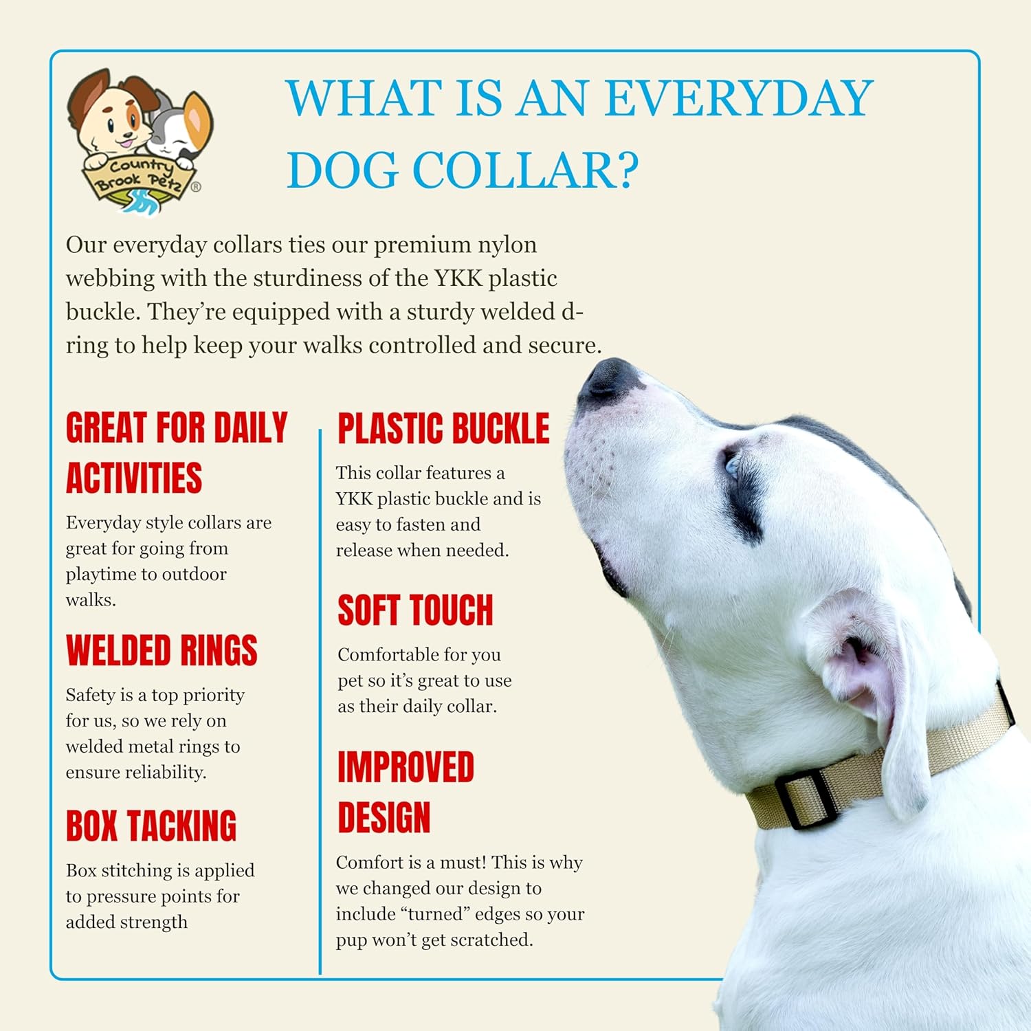 Country Brook Petz - Everyday Nylon Dog Collar for Large, Medium, and Small Dogs and Puppies - for Everyday Use in 30+ Colors (Large, 1 Inch Wide, Copper Gold) image 4