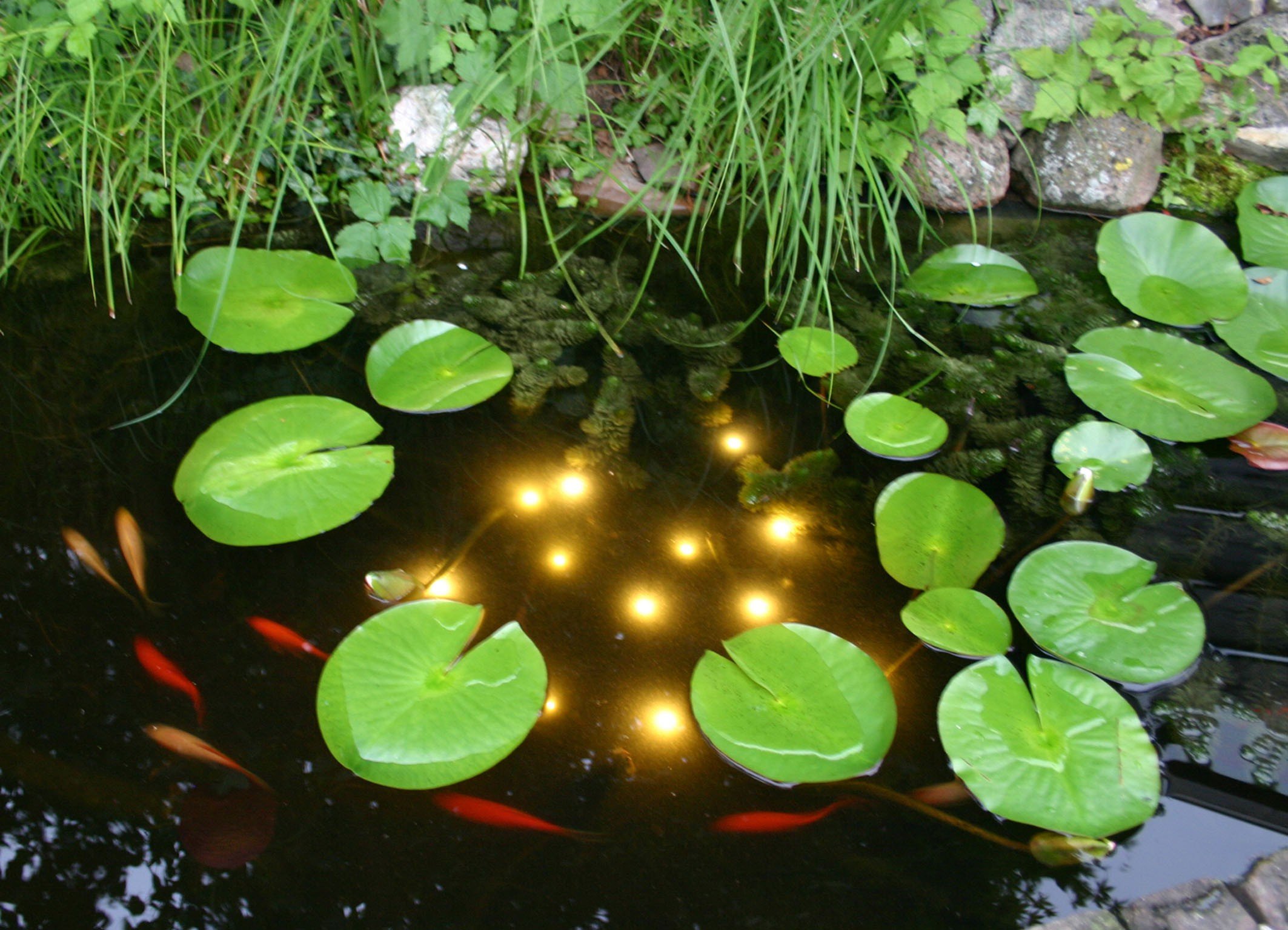 velda Welkin Pond Light