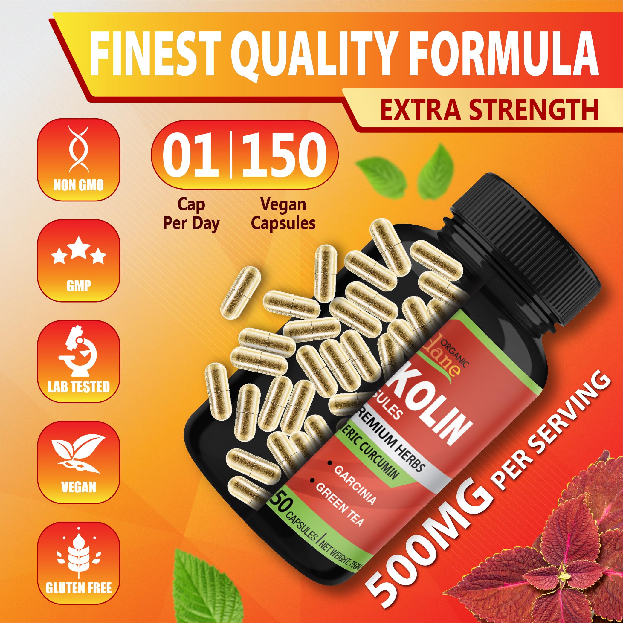 Cadane Forskolin Supplements - 5in1 with Turmeric Curcumin, Arjuna, Garcinia Cambogia, and Green Tea - 5 Month Supply - 150 Capsules — Amazon image 8