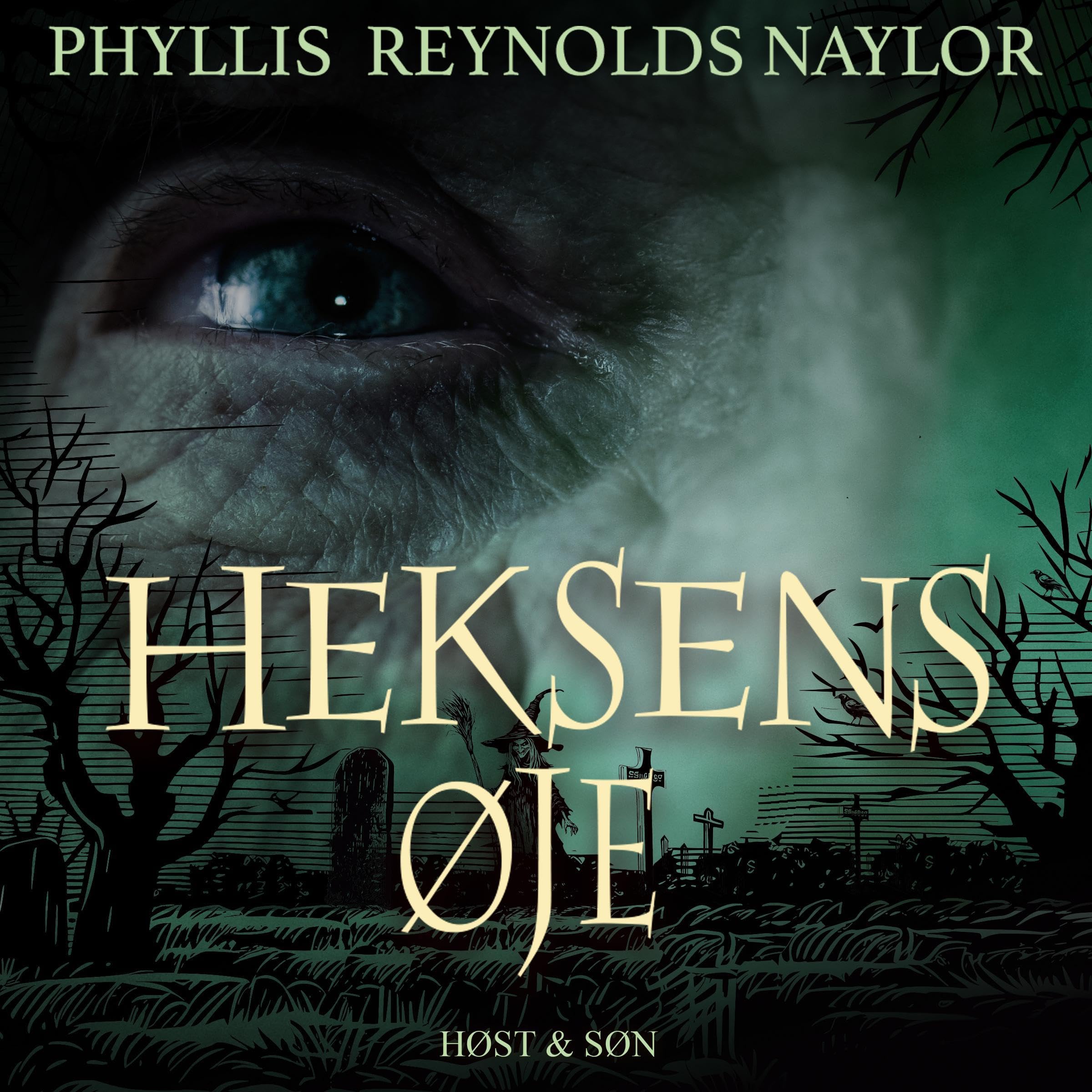 Cover art for Heksens øje