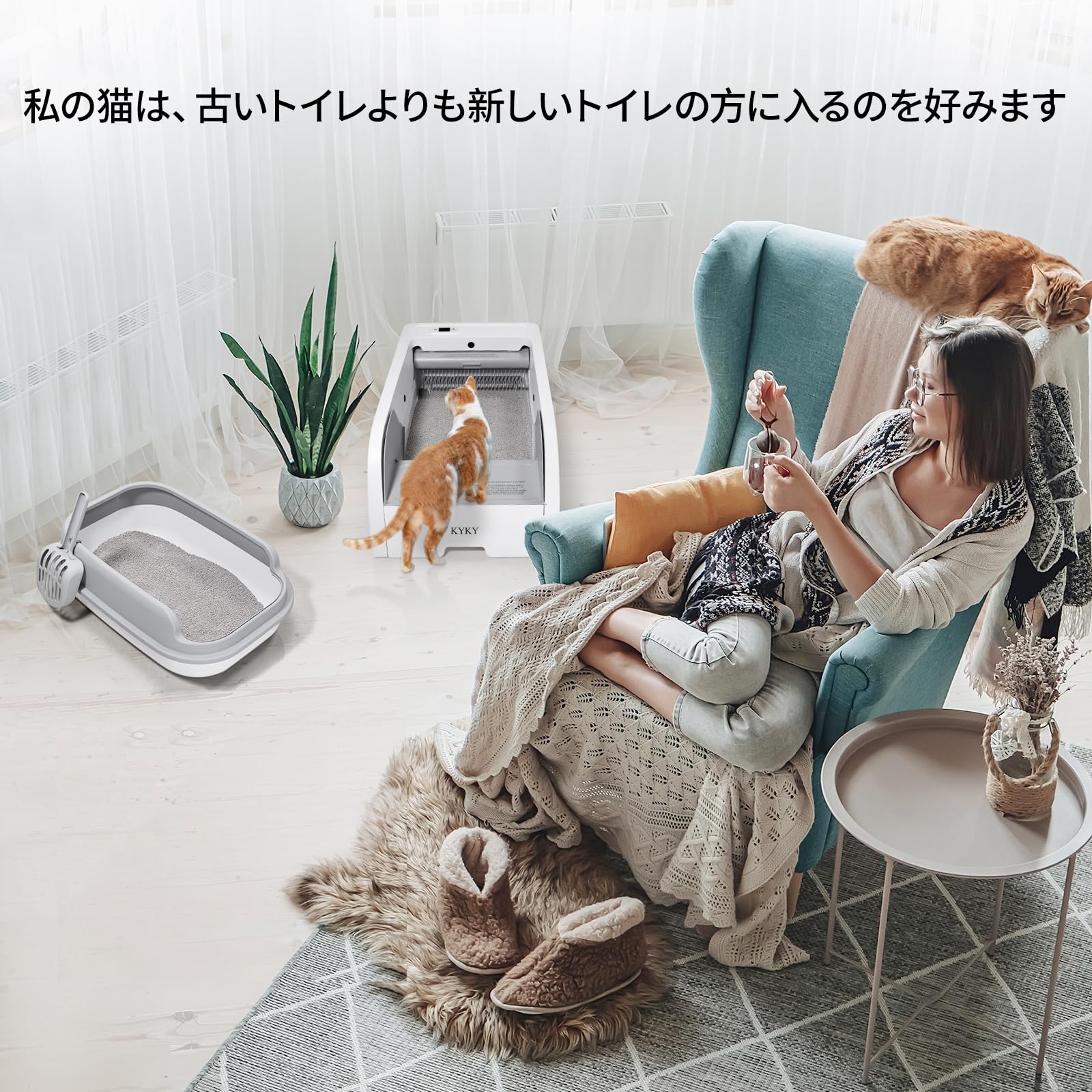 Amazon | 猫用全自動トイレ 猫の排泄習性に合わせたオープン