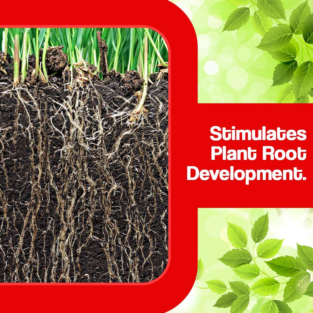 OXYGEN Plant Growth Regulator Soil Conditioner, Improves Plant Root System (500Ml) OXYGEN Plant Growth Regulator Soil Conditioner, Improves Plant Root System (500Ml)