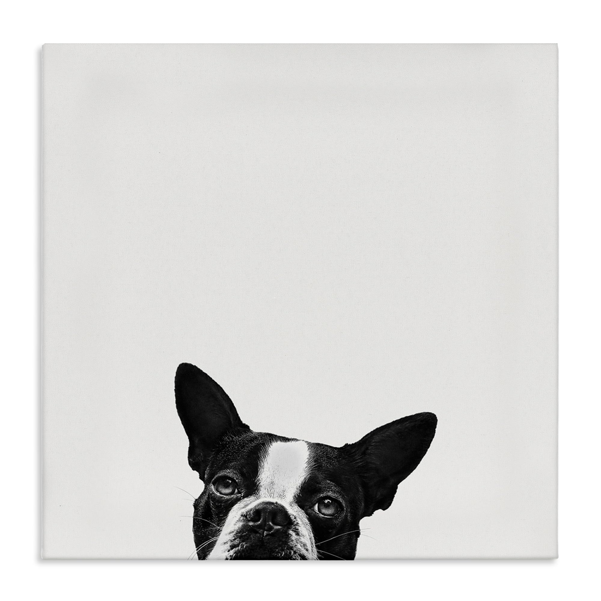 犬の点描画 S3キャンバス Amazon.co.jp: Stupell Industries ミニマル モノクロ 犬 下から覗く