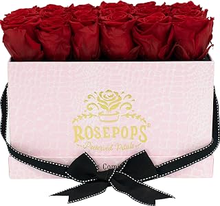 ROSEPOPS Pop-Up Eighteen Preserved Real Roses - 18 Scented Blooms Last One Year or Longer - Pink Mock Croc Rectangle Box (Cherry Crush Roses)