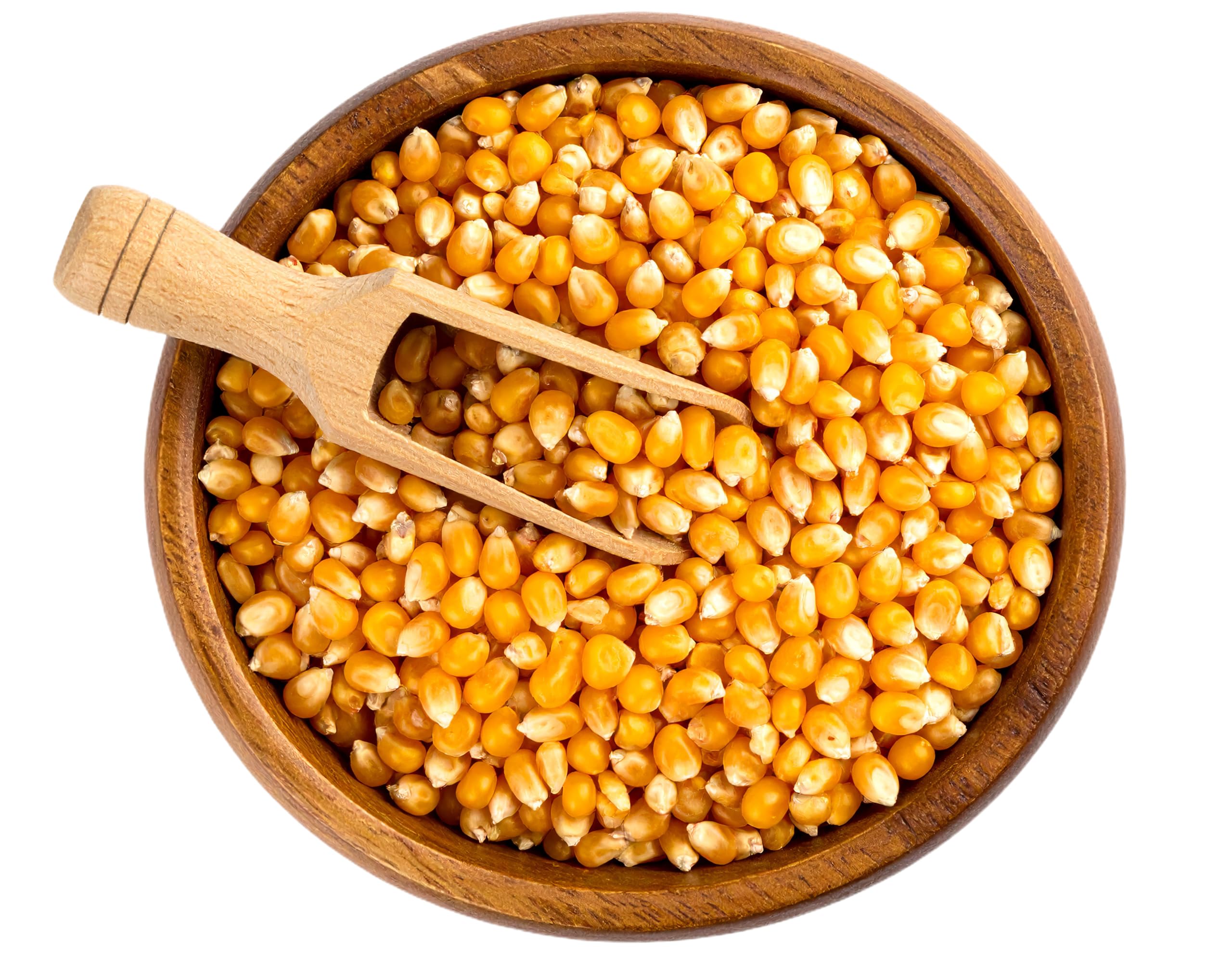 Gourmet Popcorn Kernels | Make Your Own Popcorn | Popcorn Shed