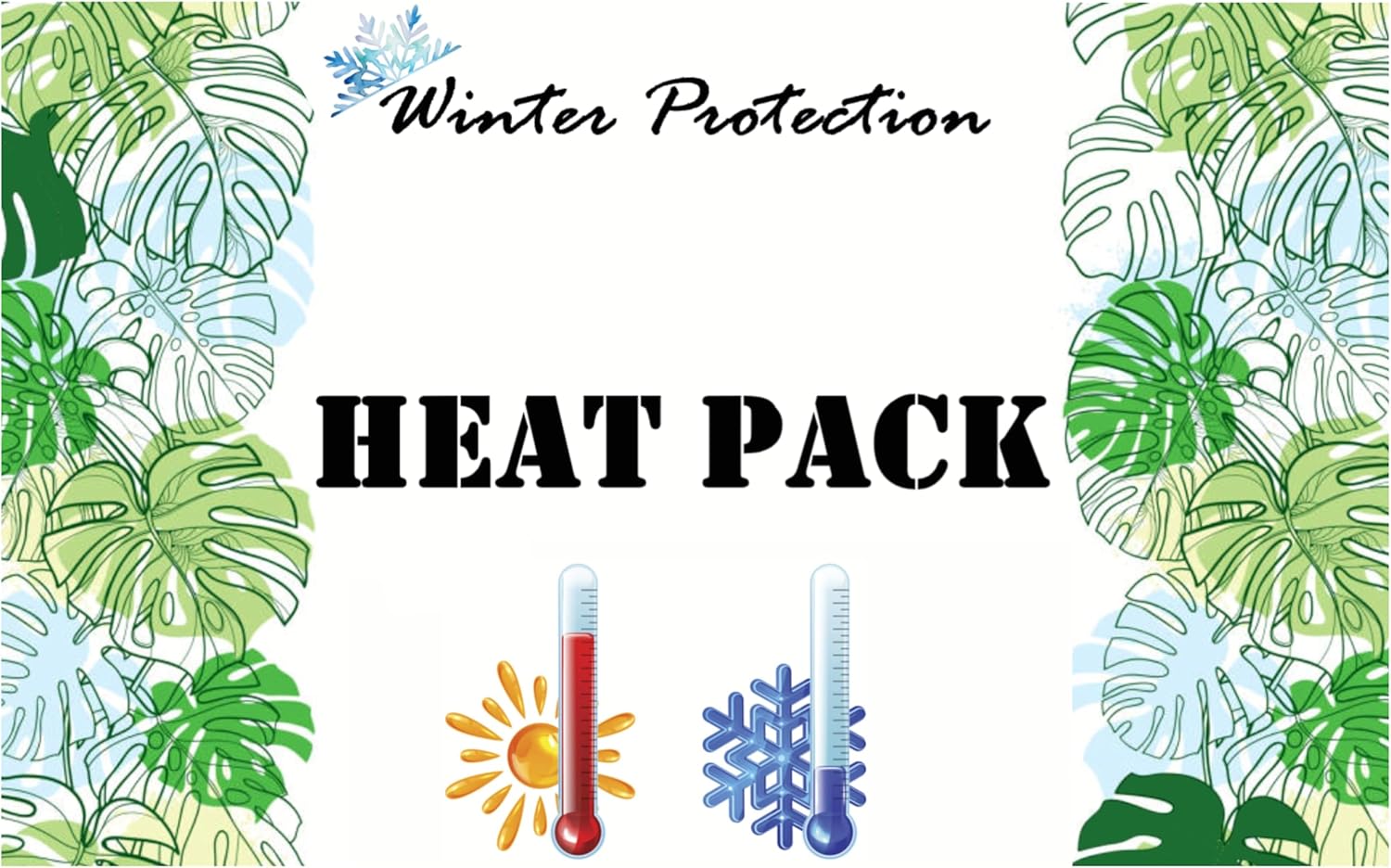 Large 6 Inch Hoya Fungii Live Houseplant Established Rare Tropical Wax Plant Mature Fuzzy Leaves Fast Growing Indoor Vine Easy Care Hanging Basket Specimen by 3exoticgreen