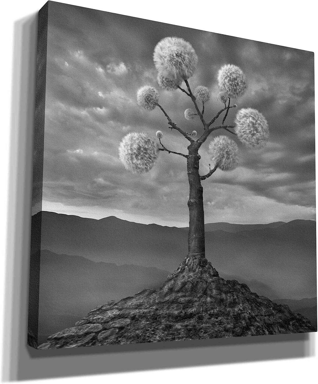 Epic Graffiti 'Dandelion' by Dariusz Klimczak, Canvas Wall Art, 12"x12"