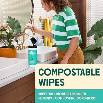 Aunt Fannie's Natural Cleaning Vinegar Wipes, Eucalyptus, 35 Count