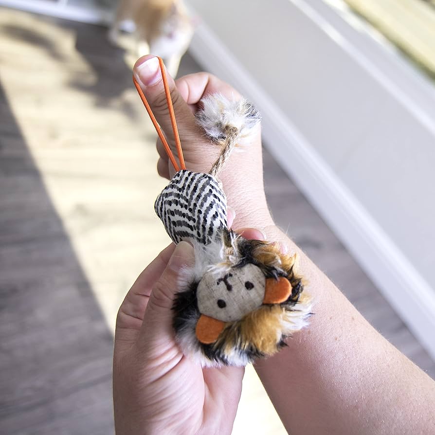 レノックス猫 Playing with Peares レノックス猫 Playing with Peares