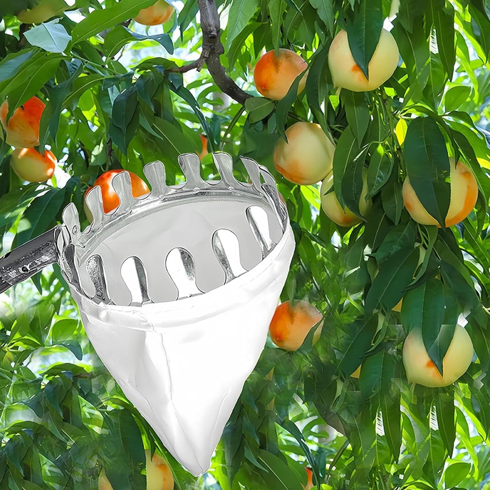 16 ft, Raccoglifrutta Telescopico,Raccogli Frutta Telescopico con Borsa in Cotone, Raccoglitore Frutta Extra Lungo per La Raccolta di Mele Arance Limoni Pere