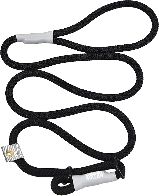 Cesar Millan Slip Lead Leash Dog Leash in Training Leash (Large, Black) Amazon.ca Pet