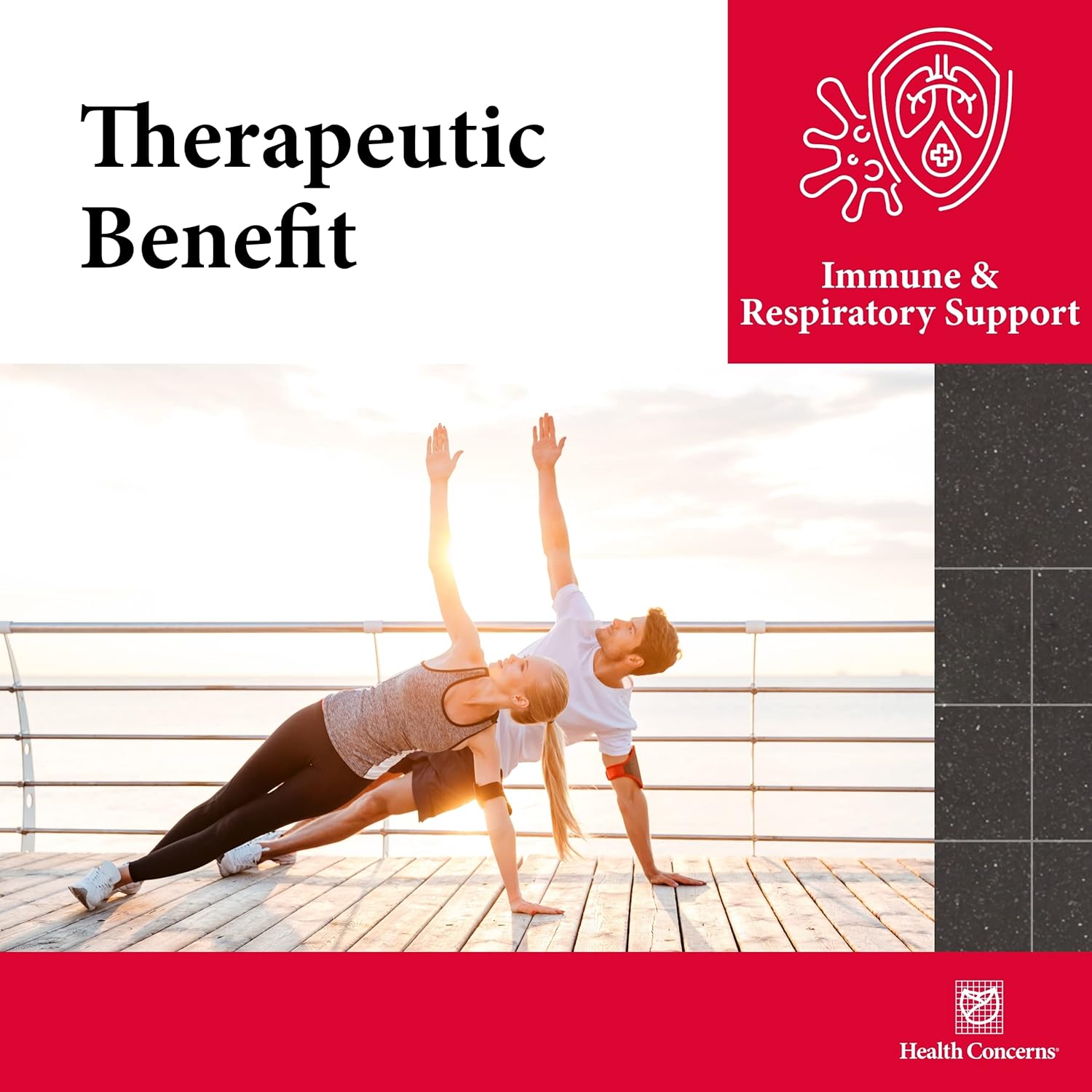 Health Concerns CordySeng – Immune System Support Supplement – Cordyceps Reishi Ginseng Astragalus Adaptogen Blend – Traditional Chinese Medicine – Respiratory & Energy Support – 60 Capsules - Image 5