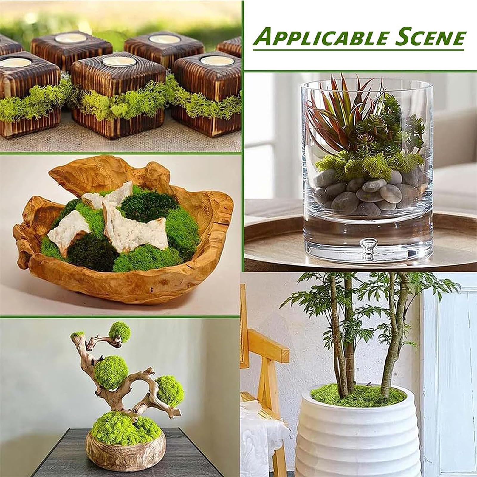 200g Muschio Stabilizzato, Muschio Finto per Decorazioni, Riutilizzabili Muschio Decorativo, per Bricolage Modellismo Parete Terrario Casa Decori (Verde Chiaro + Verde Scuro)
