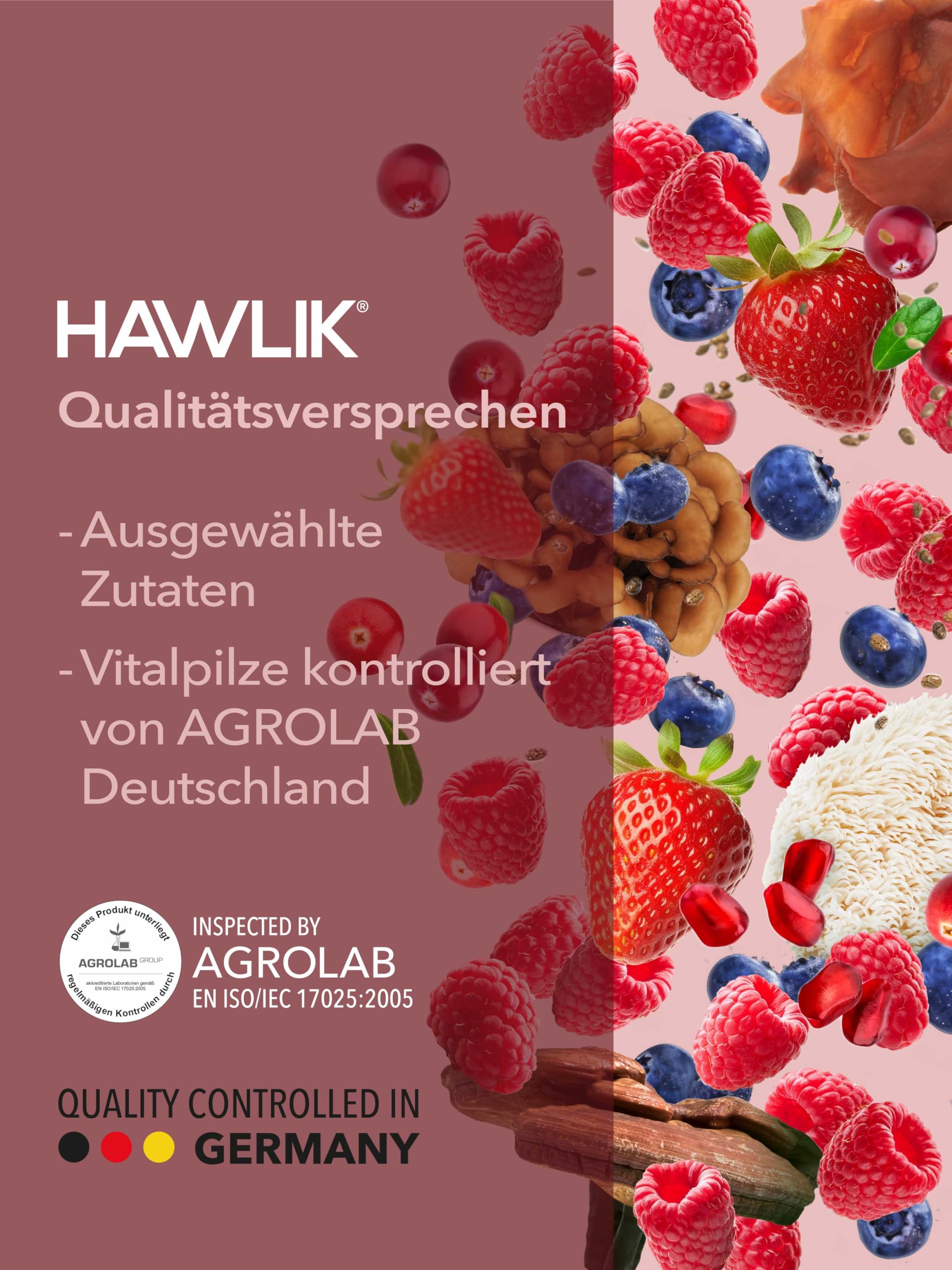 HAWLIK Red. – Beerenpower-Drink mit Vitalpilzen & Ballaststoffen – 39 Nährstoffe – vegan, ohne Zuckerzusatz, laktosefrei – 300g Pulver
