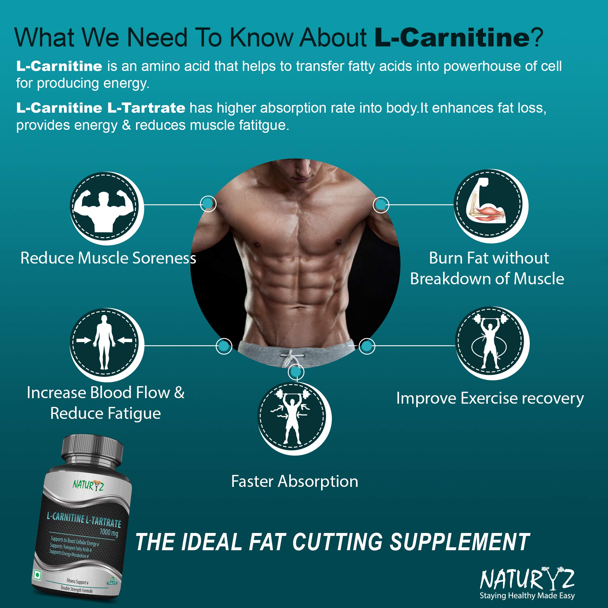 l carnitine tartrate capsules Klaire Labs SFI Health L-Carnitine Tartrate - 500 mg Amino Acid Stabilized L-Carnitine main image 1