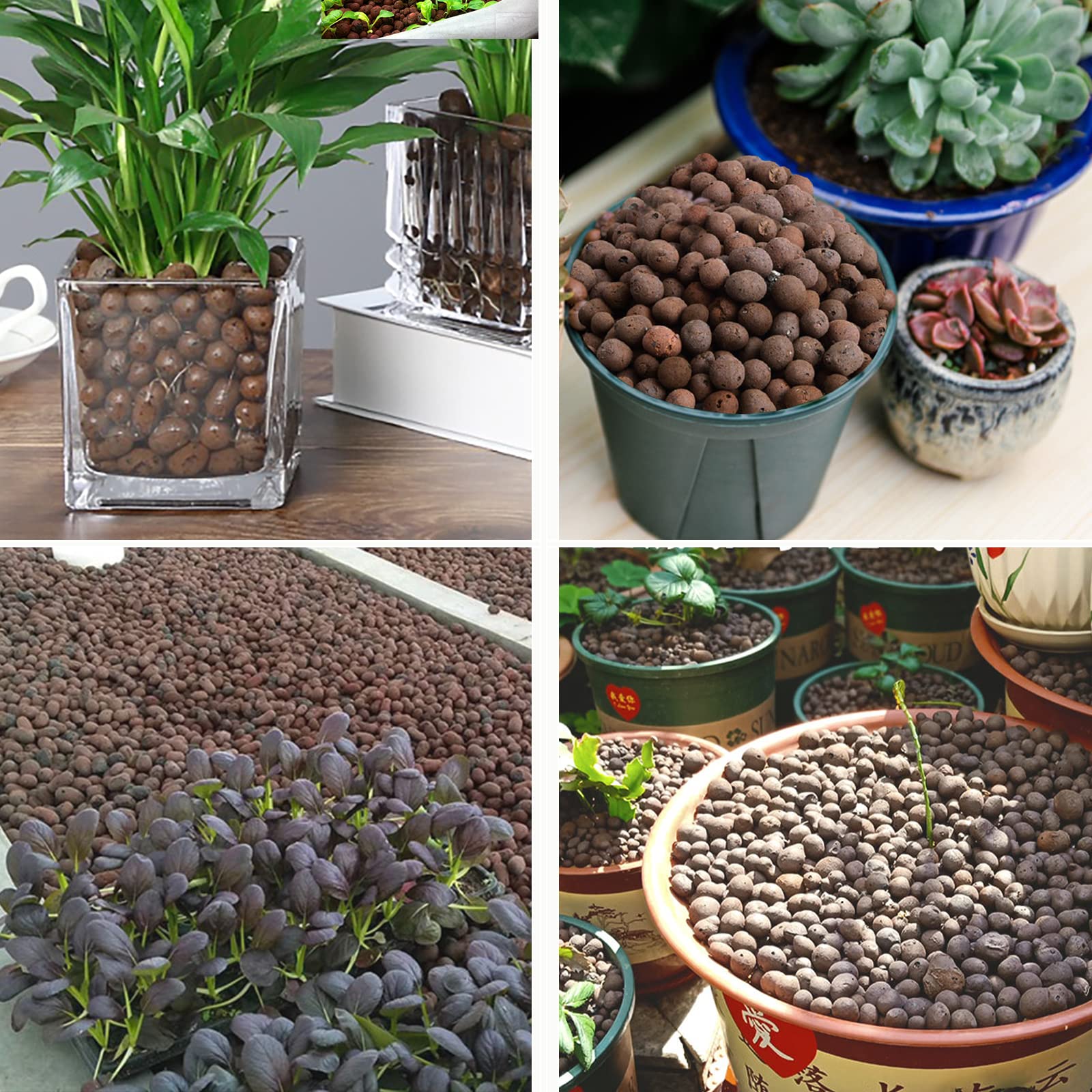 Piedras de arcilla expandida Leca de 6 libras para plantas de jardín de interior (6 libras)