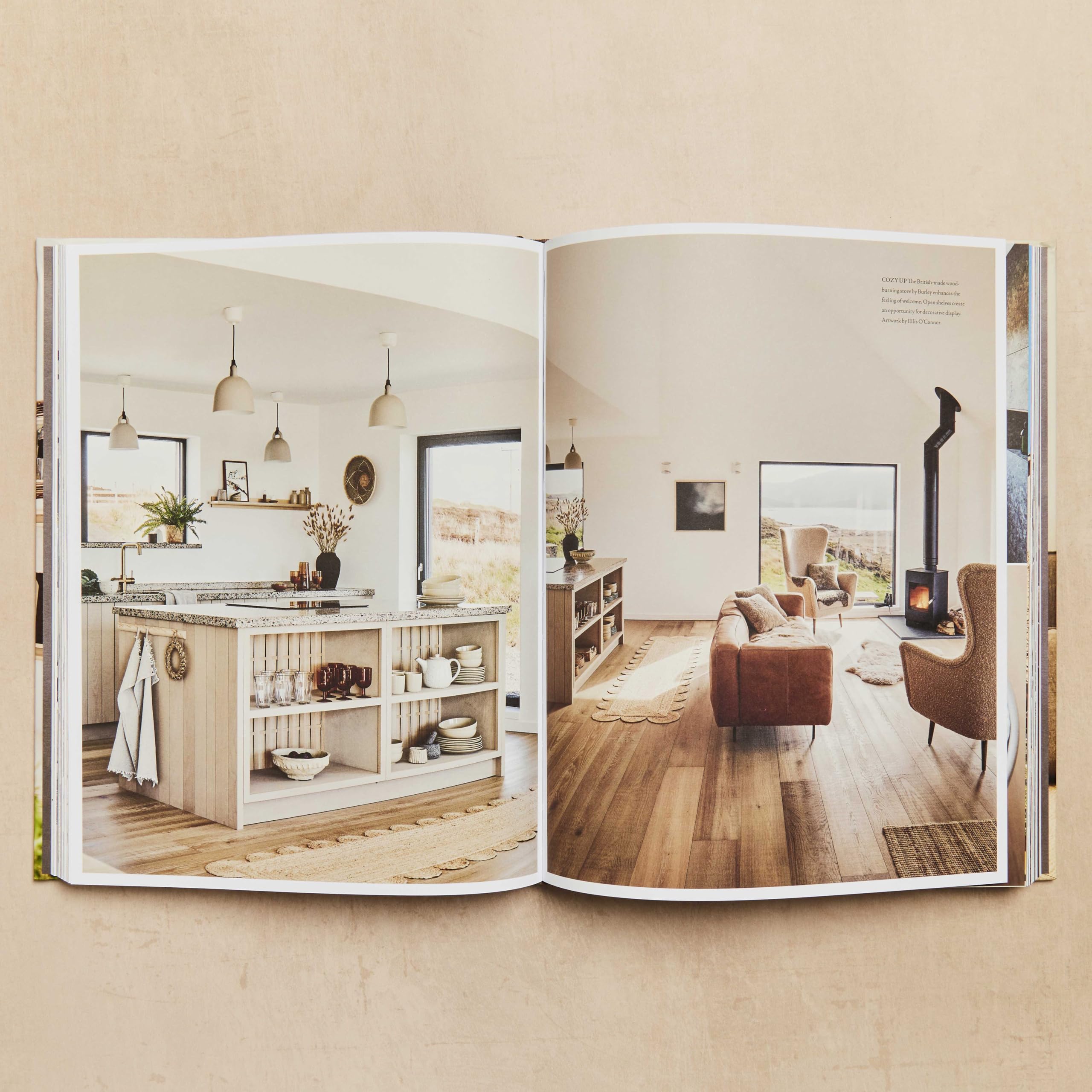 Cocoon: Creating Homes with Heart