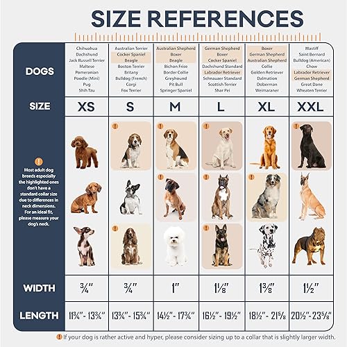 Miniatura 2 de Filbert Collar de cuero plano para perro con hebilla para perros grandes, medianos y perros pequeños, collar de cuero genuino para perros, collar de