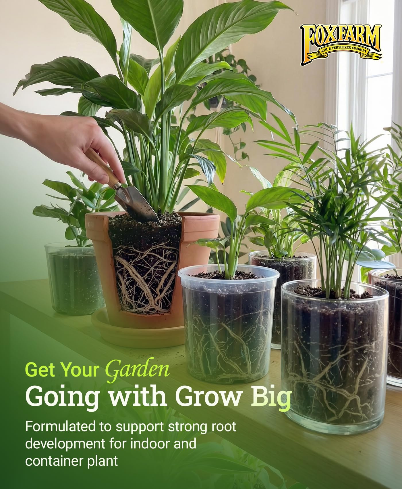 FoxFarm FF79020 Grow Big Liquid Concentrate 6-4-4 Quart : Amazon