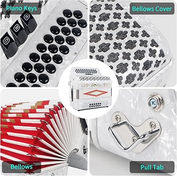 Horse 34 Key Accordion, FBE 12 Bass 3 Row, Made of Celluloid Louder & Clearer Timbre than Plastic,Accordions Instrument for Adults,W/Luxury Backpack,Straps,34 Buttons Acordeon Acordeones Para Adultos