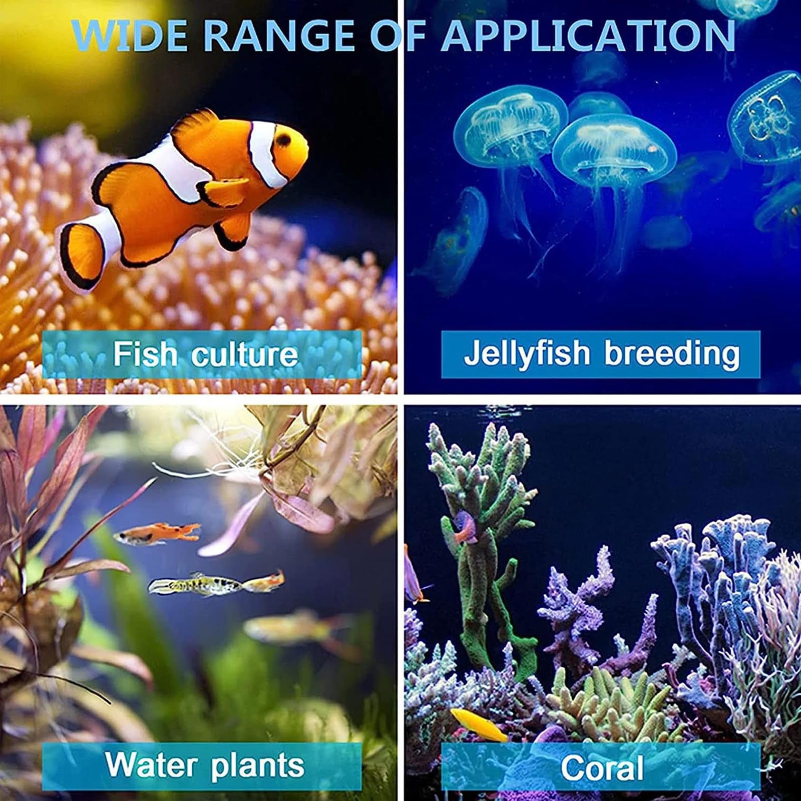 Refrigeratore per Acquario da 60 Litri, Riscaldatore per Acquario da 180 W, Acquario A Temperatura Costante, con Funzione di Memoria per Interruzione di Corrente,Cooling