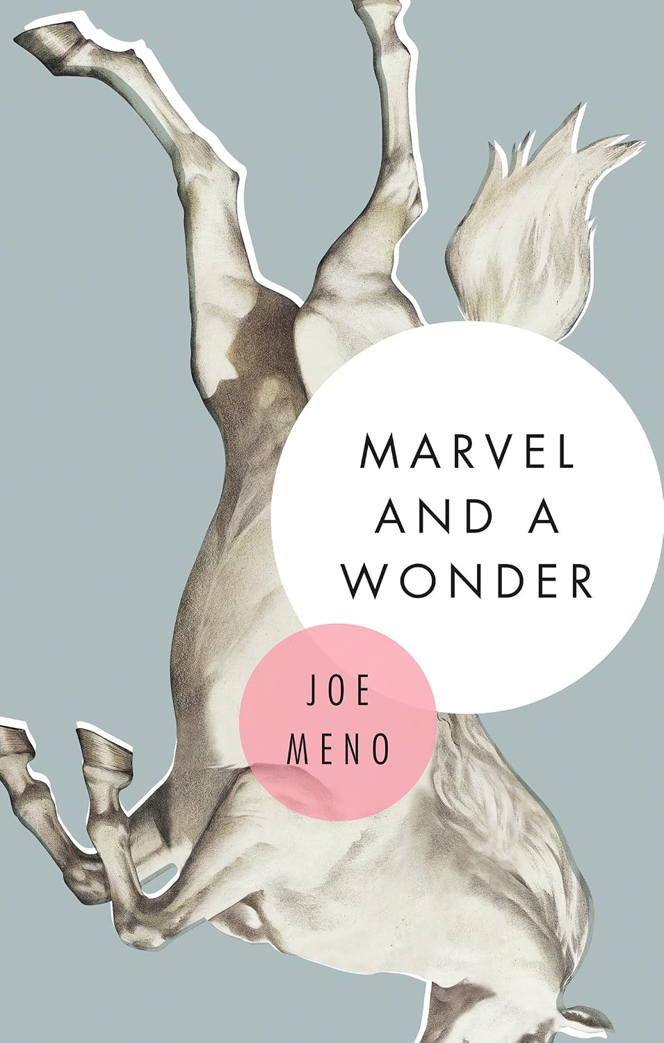 Marvel and a Wonder Meno, Joe 9781617753947 Books