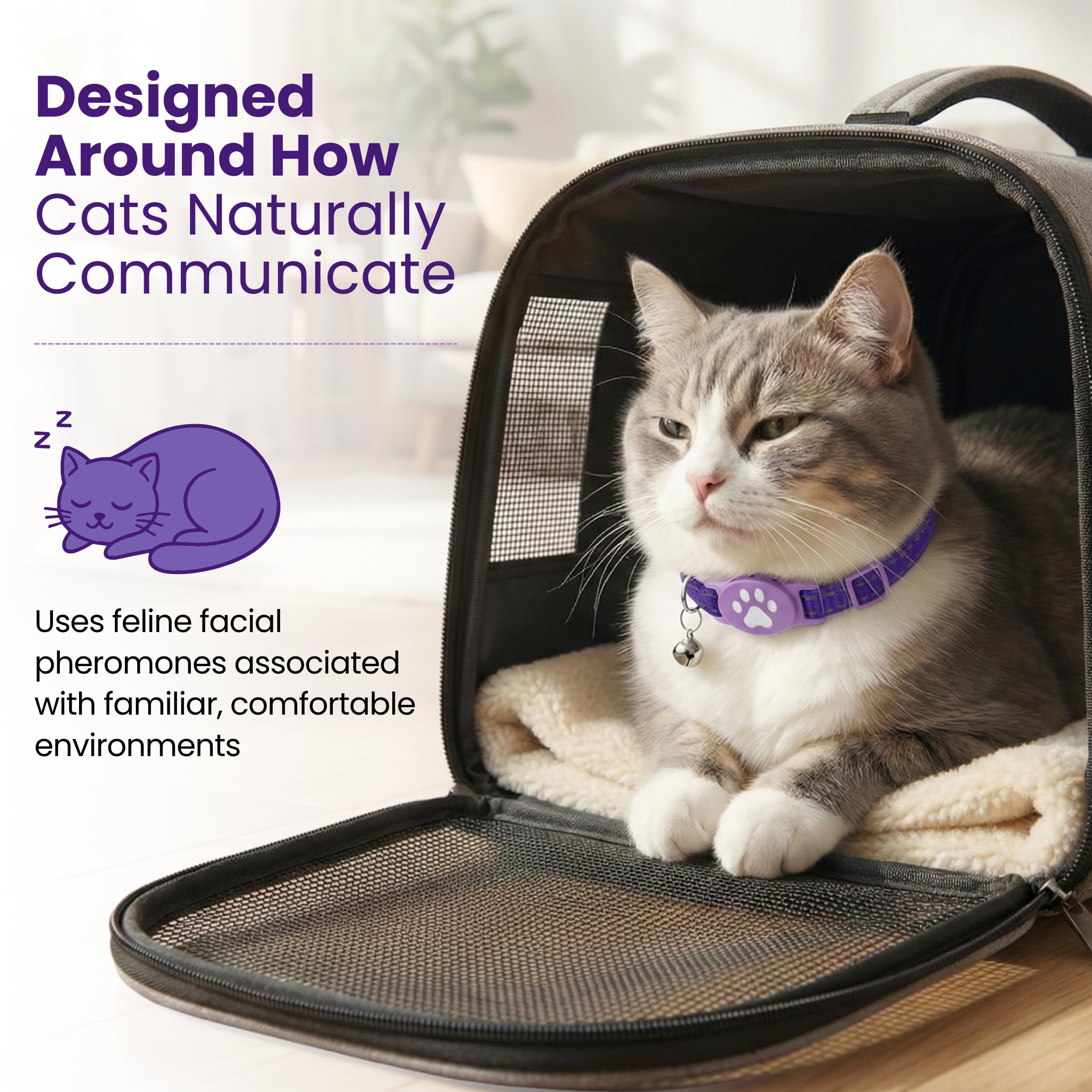 Collier apaisant pour chats sensibles - Formule sans huile essentielle non parfumée - Le système de phéromones le plus sûr et le plus confortable - Dure jusqu'à 60 jours Kitty Kompass