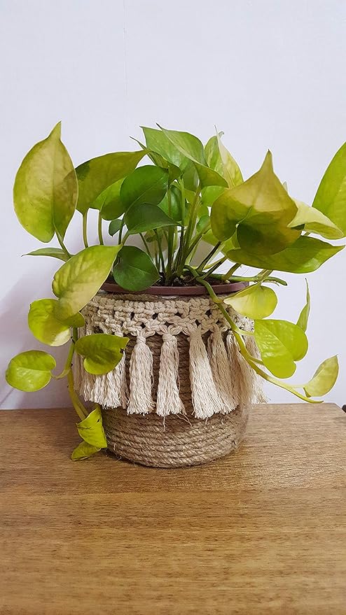 Zippy Flora Jute Handmade Multipurpose Organiser/Planter with Off-White Macrame lace (ZF150571), 1 Piece