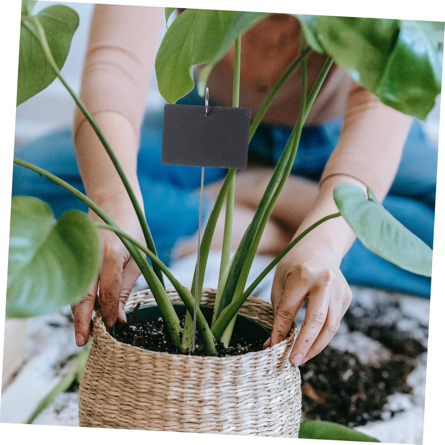 1set Garden Tag Durable Plant Labels Stakes and Pens for Outdoor Gardening Flower Markers and Unique Garden Decoration