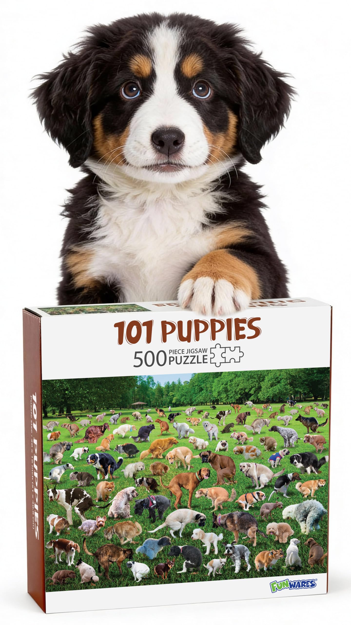 500P⑪犬と猫ᵔᴥᵔ　写真ジグソーパズル　ホワイト額50×75㎝　完成品 Amazon | Funwaresオリジナル101匹の子犬 – 面白い500ピースの