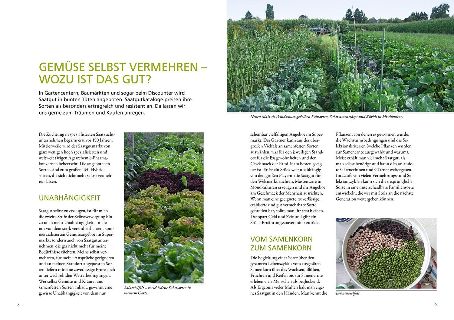 Meine Samen-Gärtnerei: Gemüse-Saatgut selbst gewinnen. Vielfalt ernten und bewahren