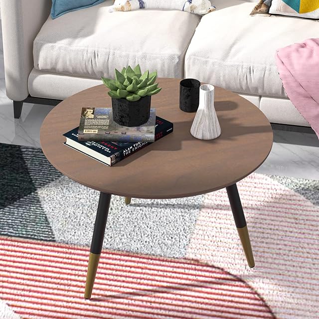 Hironpal Small Round Coffee Table Round Side Table for Living Room Home Minimalist Round Table Tea Table Wood Tabletop 60 x 60 x 41 cm (Wooden Legs)