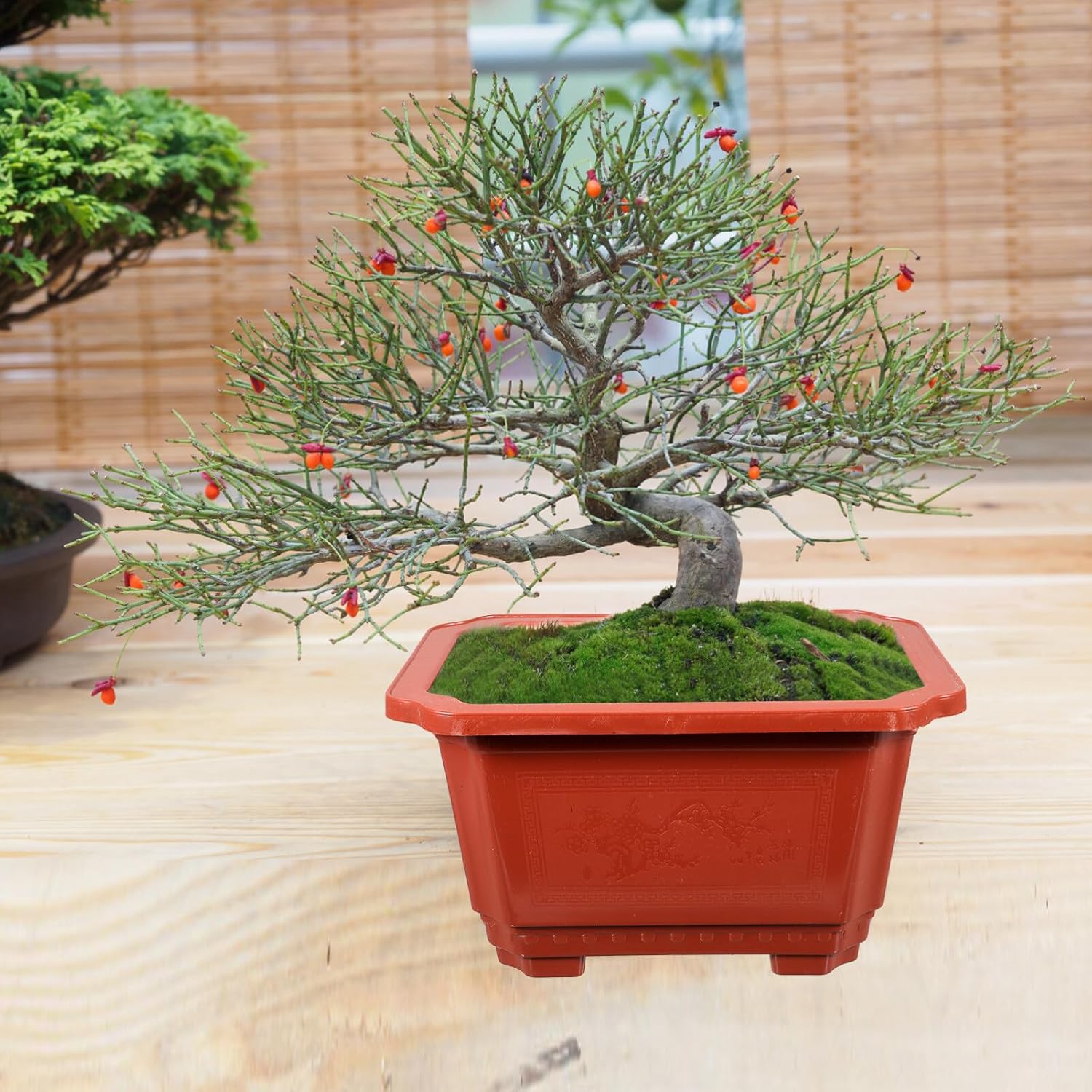 10pcs Bonsai Training Pots, 10.1 InchNursery Pots Basin Plastic Flower Pot Basin Plastic Flower Pot for Garden, Yard, Office,