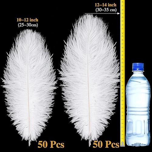 Miniatura 2 de 100 plumas de avestruz naturales para centros de mesa, 10-12 pulgadas (9.8-11.8 in), plumas grandes de 12-14 pulgadas (11.8-13.8 in) para centros de