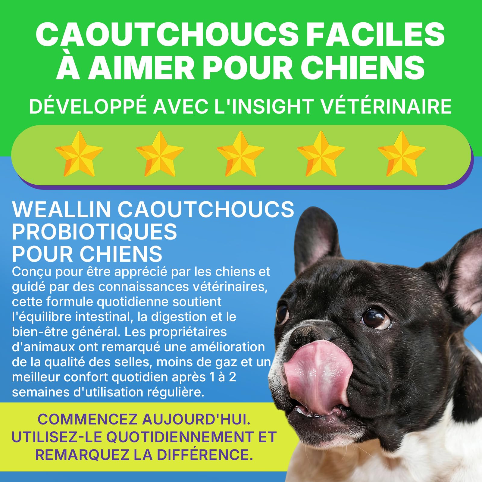 WEALLIN Probiotiques pour Chiens, Prébiotiques pour la Santé Intestinale – Soutient la Santé Digestive et l’Absorption des Nutriments – 200 Bouchées Moelleuses Qui Soutiennent la Santé de la Peau