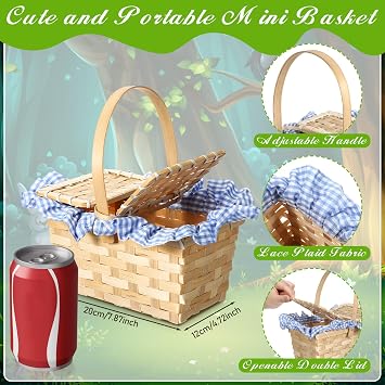 Teenyyou Mini Picnic Basket, Costume Accessory, Small Gingham Picnic Hamper for Halloween Women Costume Cosplay Accessory Hooded Cape Masquerade Dress up(Blue and White)