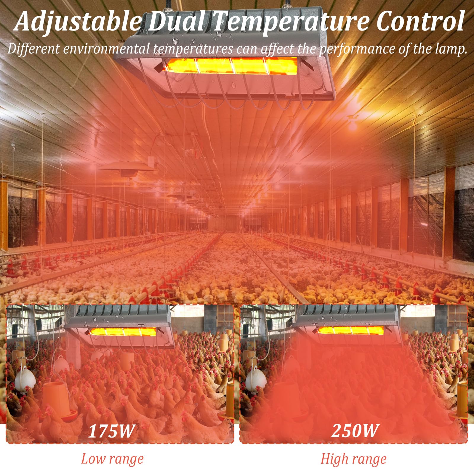 Lampe chauffante pour poussins, 250 W, avec interrupteur économique et câble d'alimentation de 1,8 m, lampe infrarouge thermostatique automatique pour poules, canards, porcelets, chiots, bétail