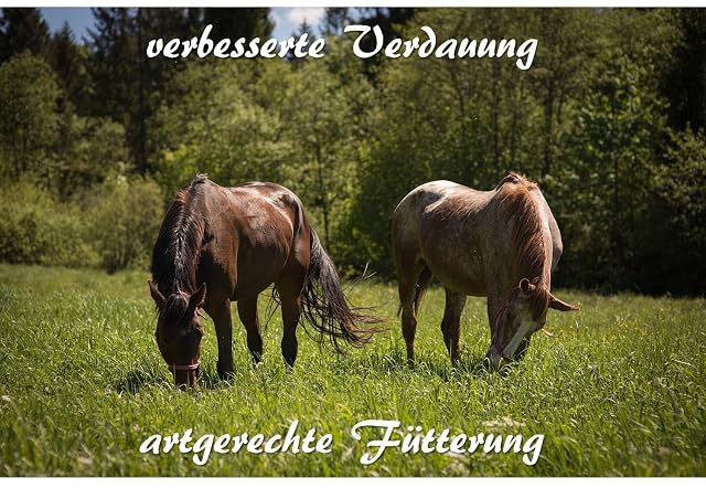Foto 6 de 7 de Extra engmaschiges heno Red para caballos - 3 cm x3 cm forro Saco Adecuado para ponis