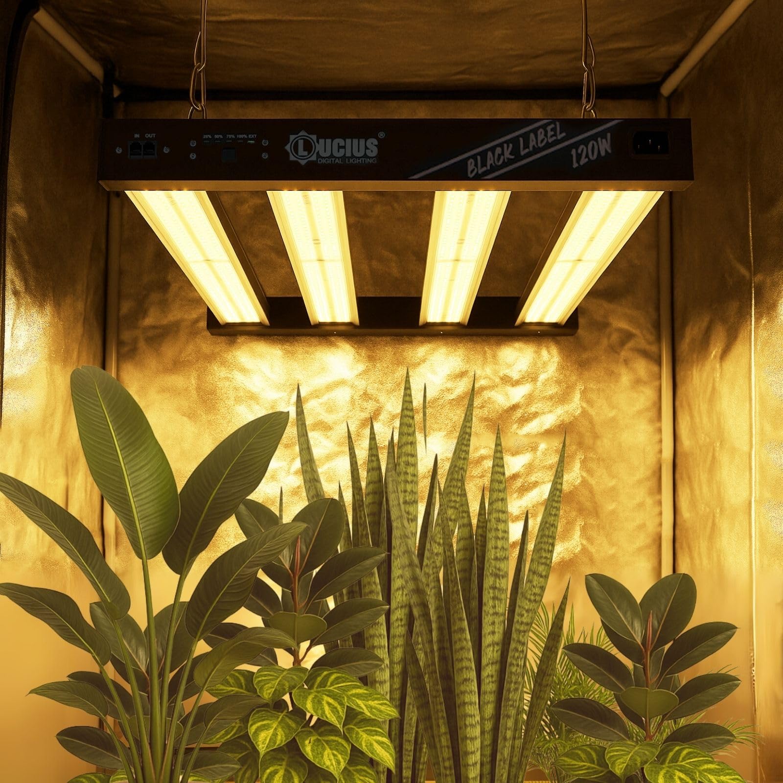 LED 120W Black Label - Luz para plantas de espectro completo – 2.9 µmol/J, Potencia Regulable, Iluminación Profesional para Cultivo Interior
