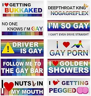 Sun Walker 10 PCS Car Funny LGBT Stickers, Reflective Rainbow Car Decal Bumper Prank Decoration with Humor Text, Waterproof Gay Pride Signs Stickers for Vehicle Refrigerator Luggage (Style 2)
