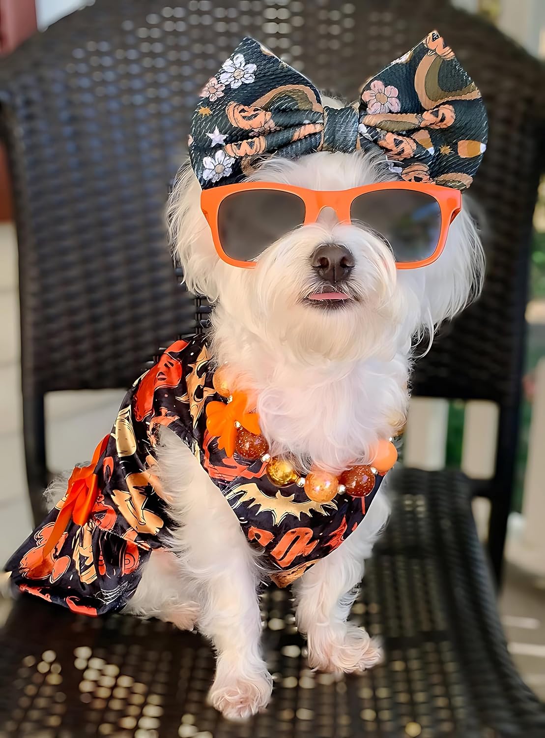 Fitwarm Christmas Dog Dress Velvet Lightweight Jordan Ubuy