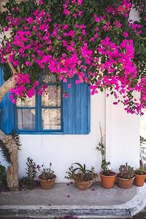 Bougainvillea in The Window - 6000 Piece Wooden Jigsaw Puzzle - Fun Family Jigsaw Puzzle