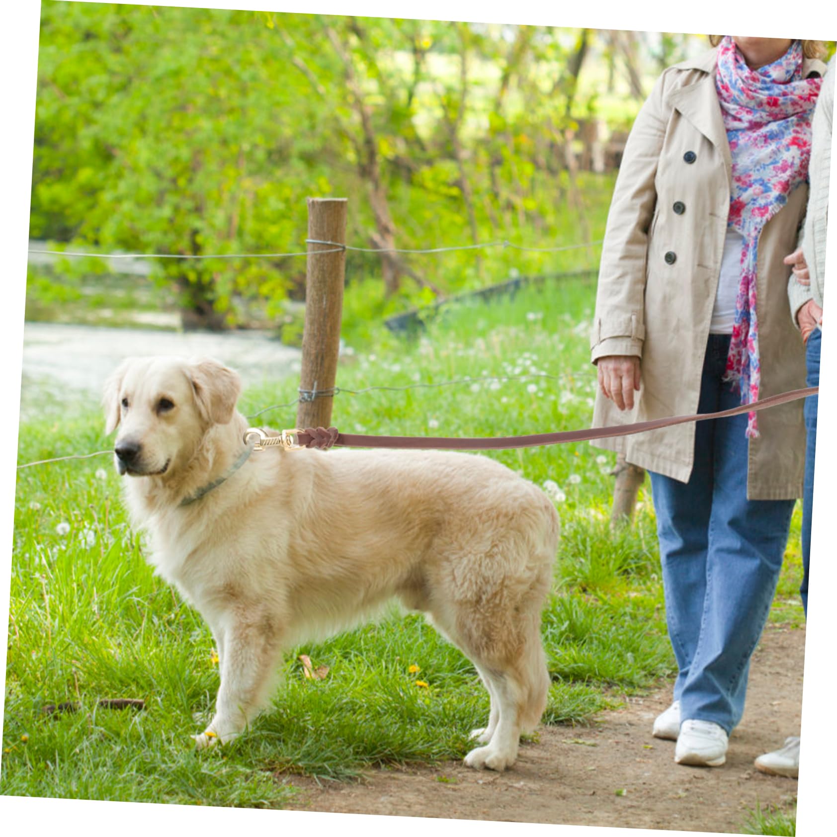 Kisangel 3pièces Laisse De Traction pour Chiens Corde pour Chiens De Moyenne à avec Idéale pour Promenades Sécurisées Et Confortables