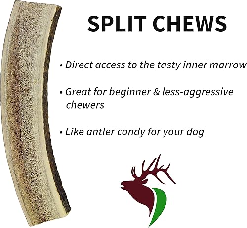 Miniatura 4 de X Large Split Single Pack (for 50+ lb Dogs) Premium Grade Elk Antler for Dogs (1 Piece) Sourced in The USA