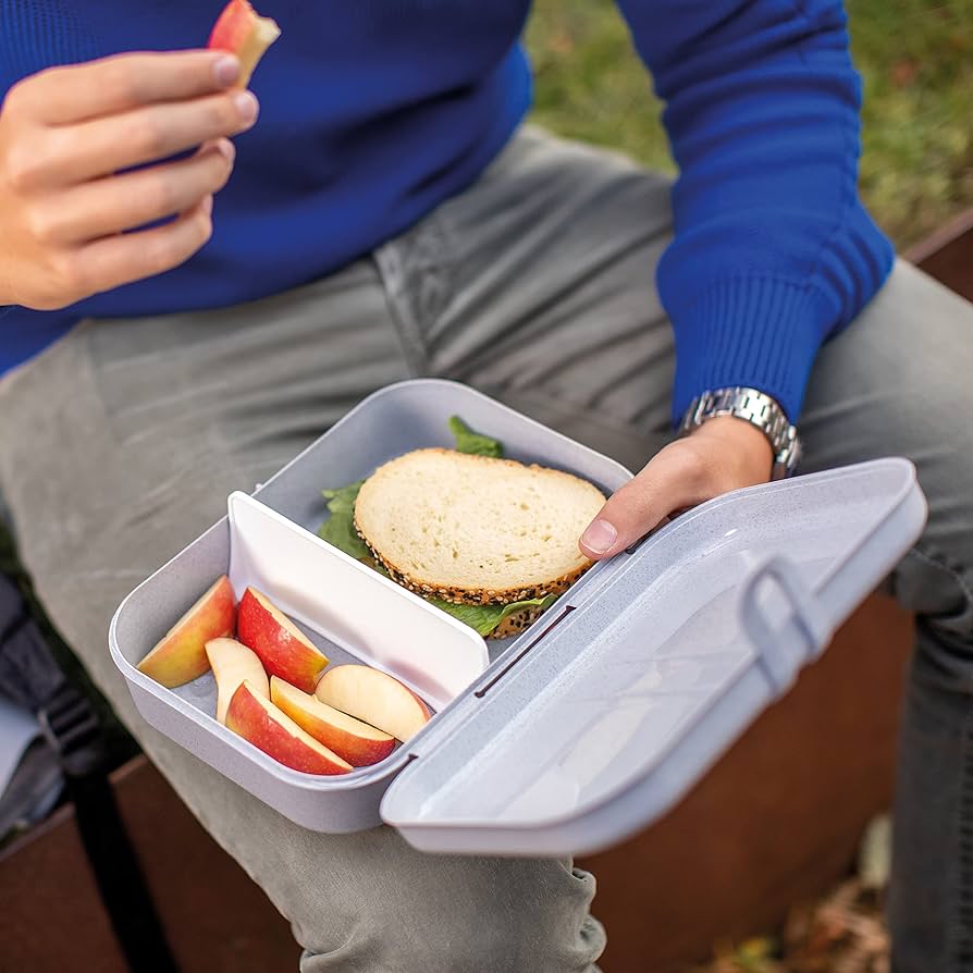 koziol オーガニックサンドイッチケース 3個セット　オーガニックグレー ヨドバシ.com - KOZIOL コジオル パスカル コンテナボックス ミニ