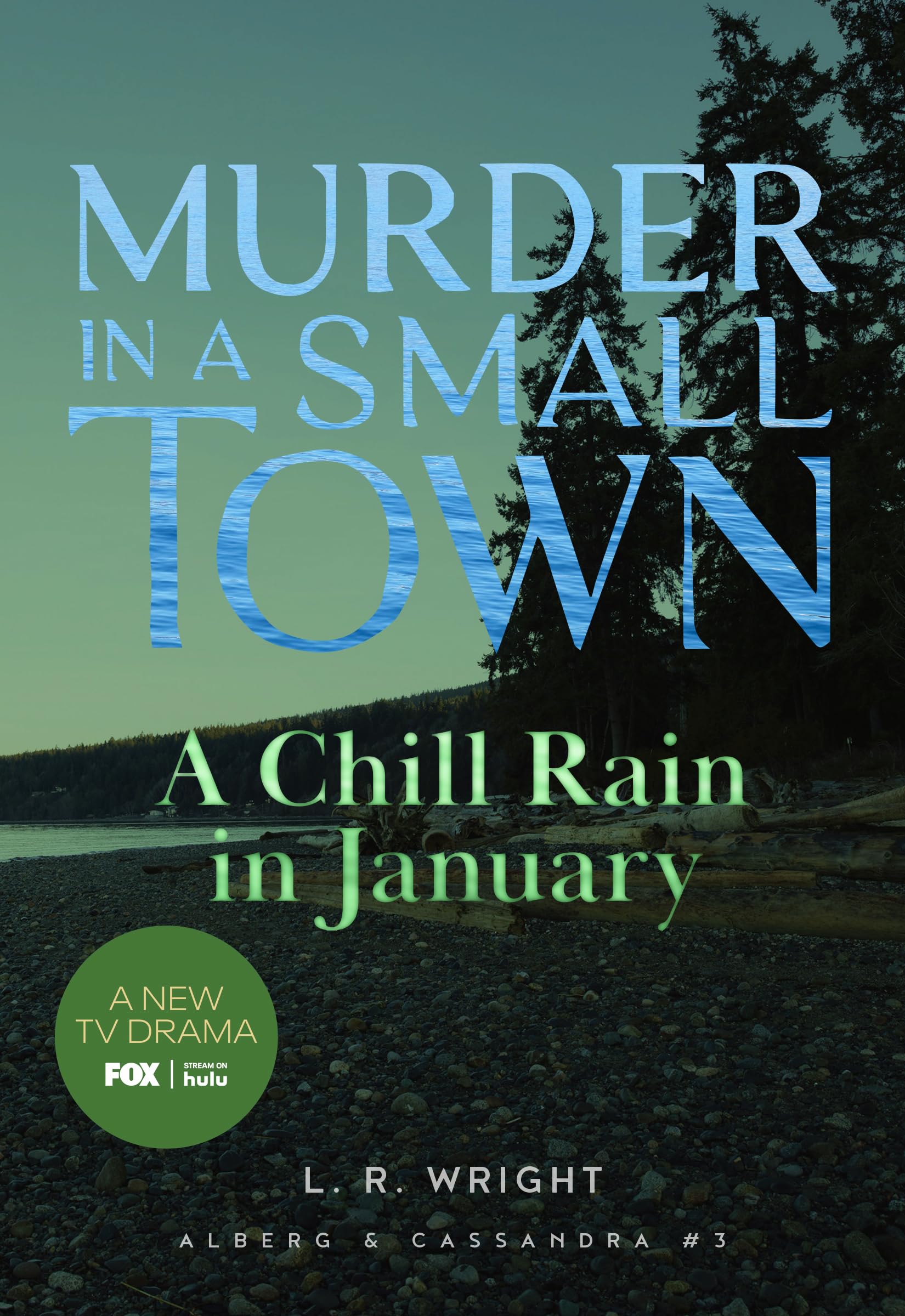 A Chill Rain in January: Murder in a Small Town (Alberg & Cassandra, 3)