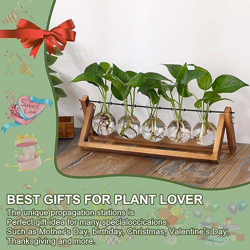 Miniatura 58 de YIBOT Estación de propagación de macetas para colgar en la pared, florero de cristal para plantas hidropónicas, terrario de plantas con soporte