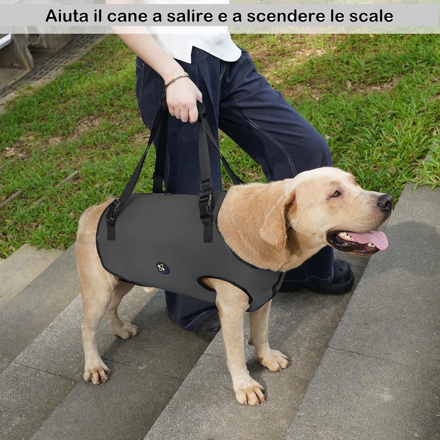 COODEO Dog Lift Harness, Imbracatura di Sollevamento per Cani, Sling di Supporto Regolabile per Cani Anziani, con Artrite o Perdita di Stabilità nella Camminata (Nero,XXL)