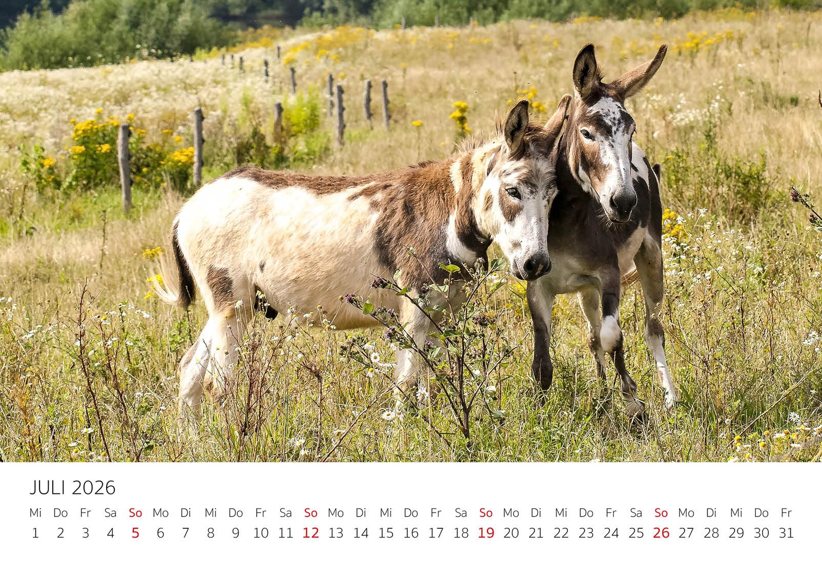 Edition Seidel Premium Kalender Ostsee-Liebe Lübecker Bucht 2024 Format
